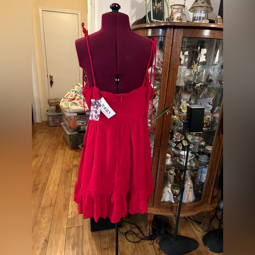 NWT Red Cider Dress With Tags - Picture 6 of 6